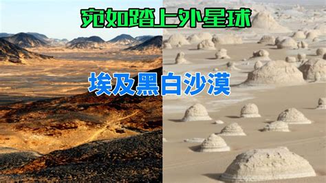 黑色沙漠知識大全|黑色沙漠 Wiki 